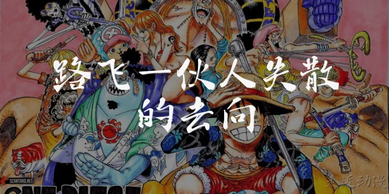 路飞一伙人失散的去向